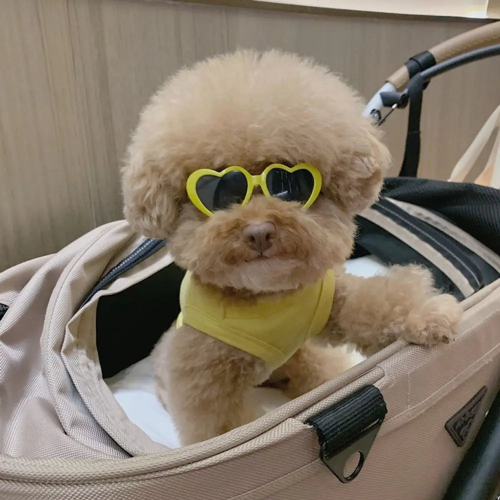 Lunettes en Forme de Cœur pour Chats et Petits Chiens