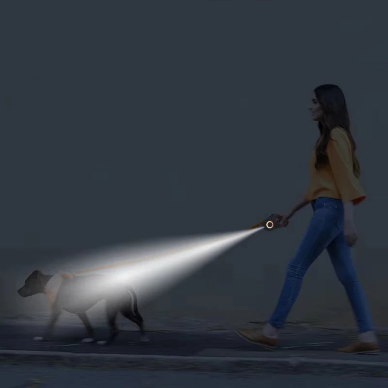 Laisse LED Enrouleur pour Chien