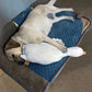 Grande Peluche Canard Blanc Réaliste pour Chiens