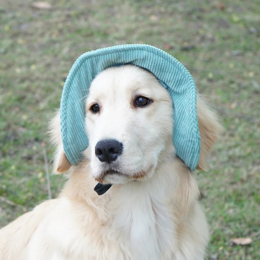 Chapeau Soleil en Velours Côtelé pour Chien avec Trous pour Oreilles