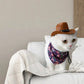 Chapeau Cowboy Ajustable pour Petit Chien ou Chat avec Étoiles