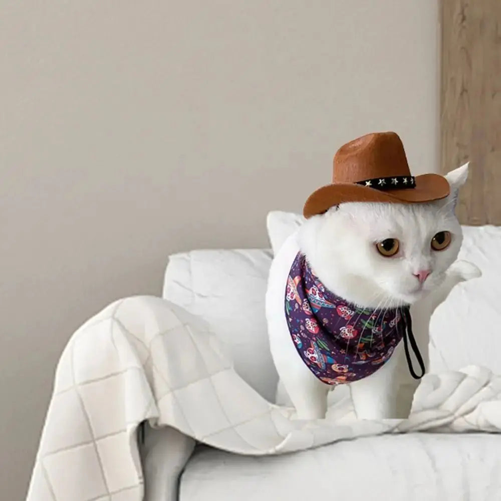 Chapeau Cowboy Ajustable pour Petit Chien ou Chat avec Étoiles