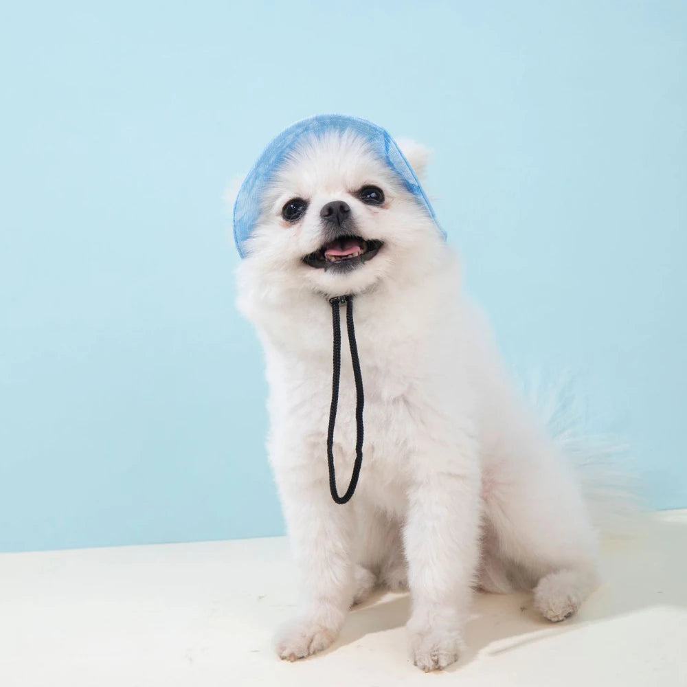 Casquette d’Été Unie pour Chats et Petits Chiens avec Trous pour les Oreilles