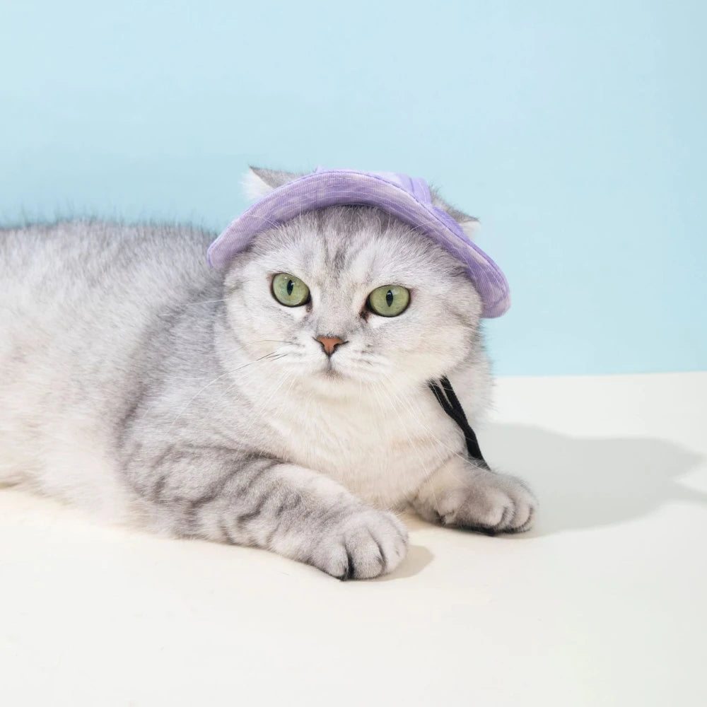 Casquette d’Été Unie pour Chats et Petits Chiens avec Trous pour les Oreilles