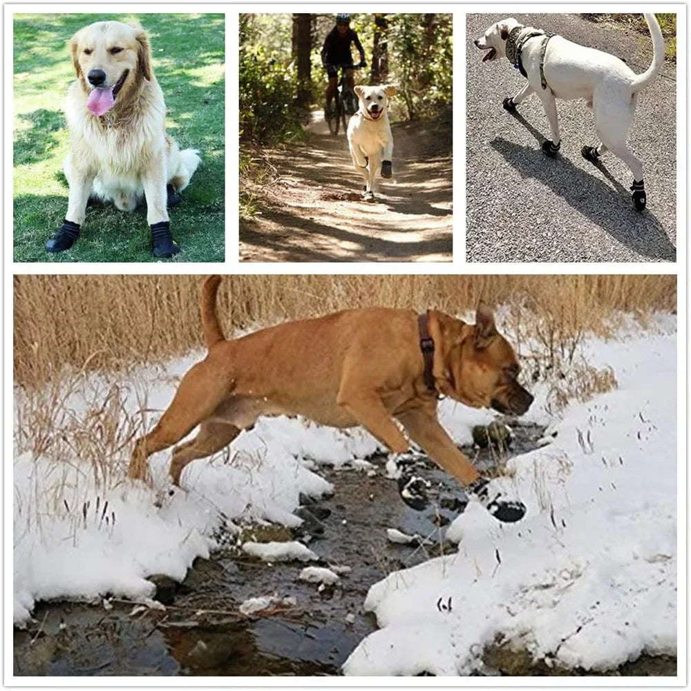Bottines Imperméables Antidérapantes pour Chiens – Lot de 4