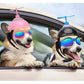 Casque & Lunettes avec Hélice pour Chien