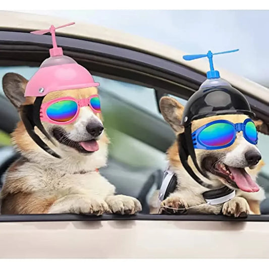 Casque & Lunettes avec Hélice pour Chien