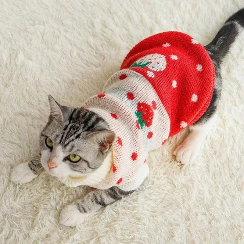 Pulls d’Hiver en Laine – Motifs de Noël et Animaux