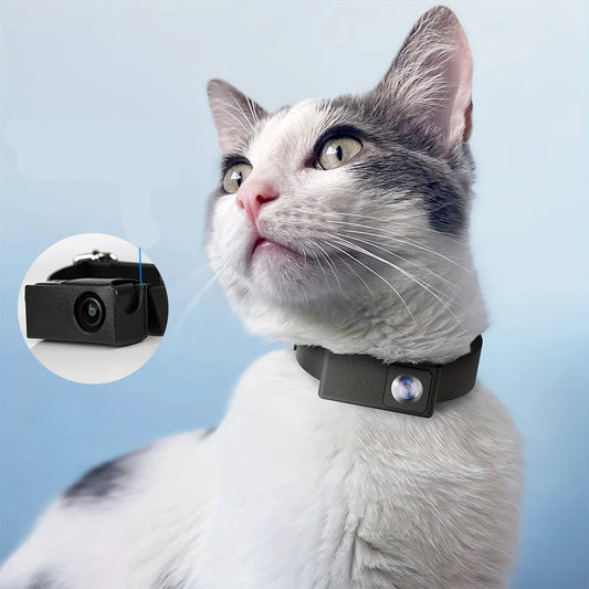 Collier Caméra 1080P HD 160° pour Chats