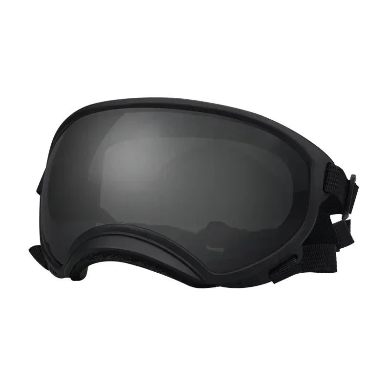 Lunettes de Ski Panoramiques pour Chiens Moyens et Grands
