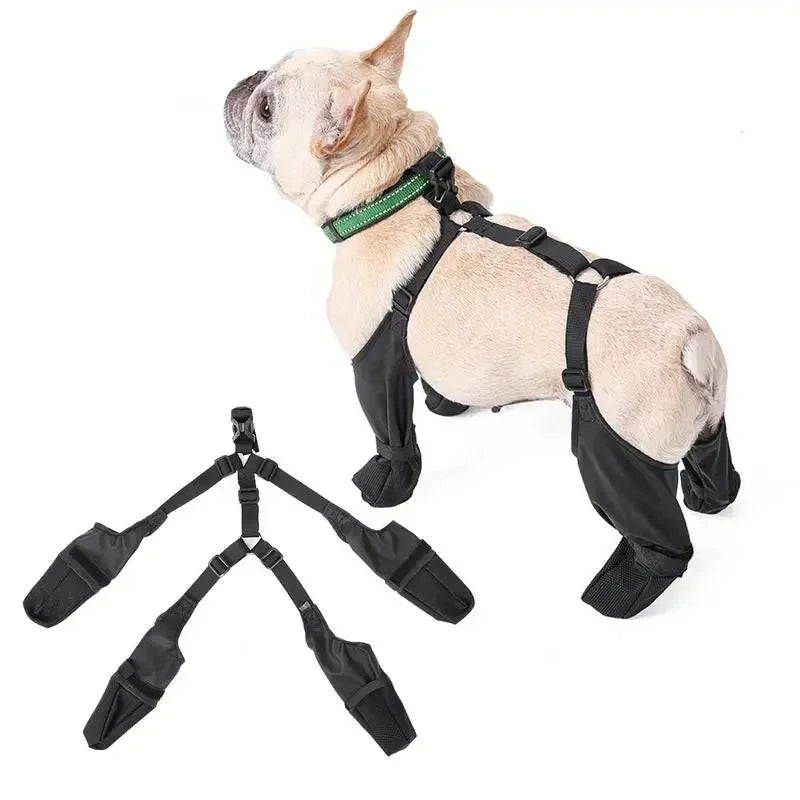 Chaussures Antidérapantes Réglables pour Chiens