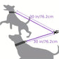 Rallonge Double Anti-Nœud pour Laisse Chien