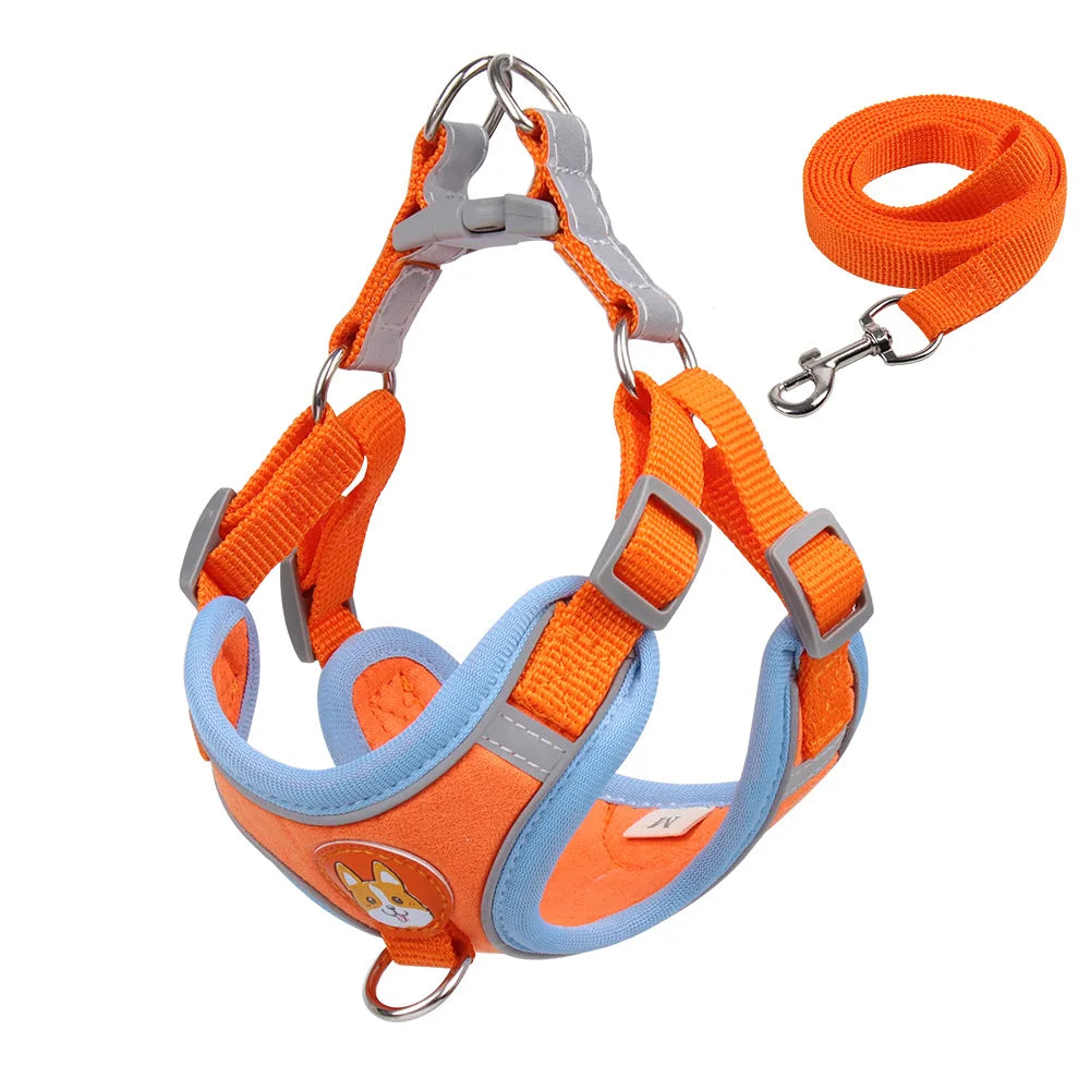 2 en 1 Harnais & Laisse Réfléchissant Anti-traction pour chien