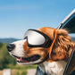Lunettes de Protection Ajustables pour Chiens - Anti-UV et Anti-Vent