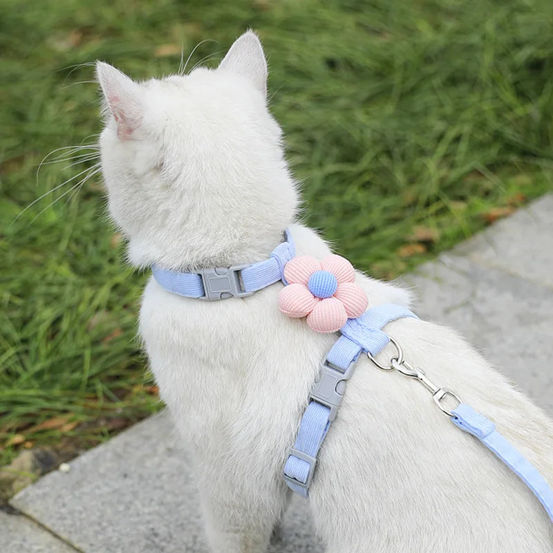 Harnais et Laisse Ajustables pour Chat avec Fleur Décorative