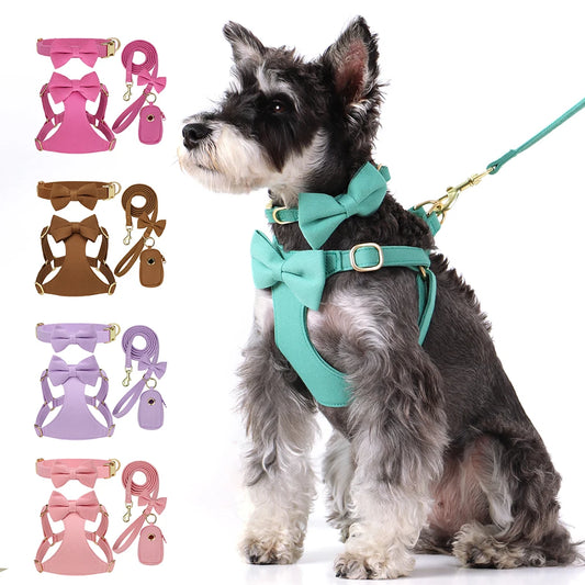 Pack 4-en-1 Harnais Nœud Papillon & accessoires pour Petit Chien
