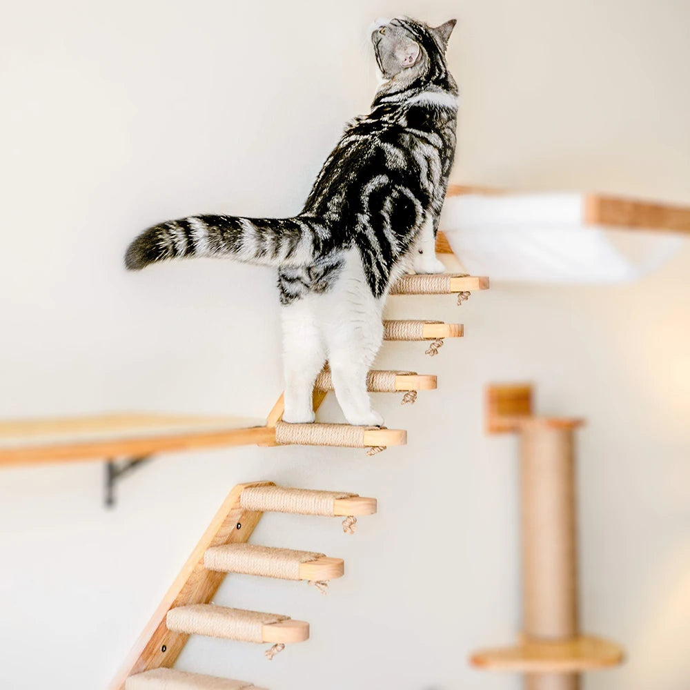Escaliers Muraux pour Chats en Bois avec Corde en Jute