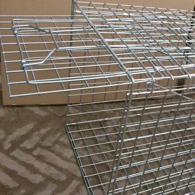 Cage de capture pliable en acier inoxydable 66 cm
