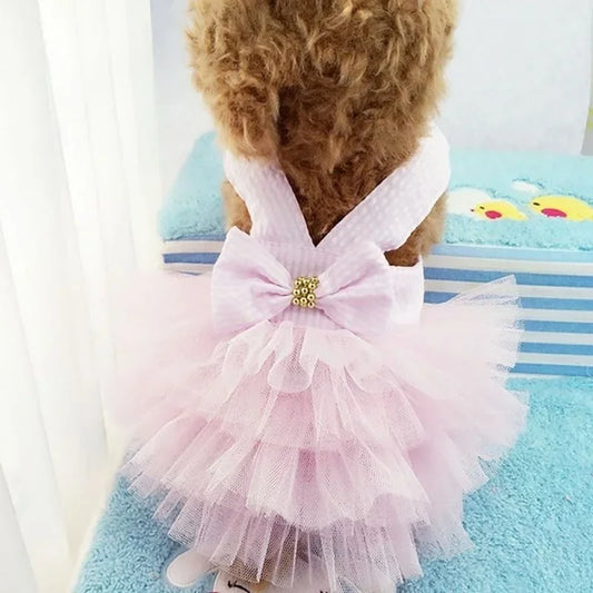 Robe Tutu Noeud Papillon pour Chiennes et Chiots Élégants