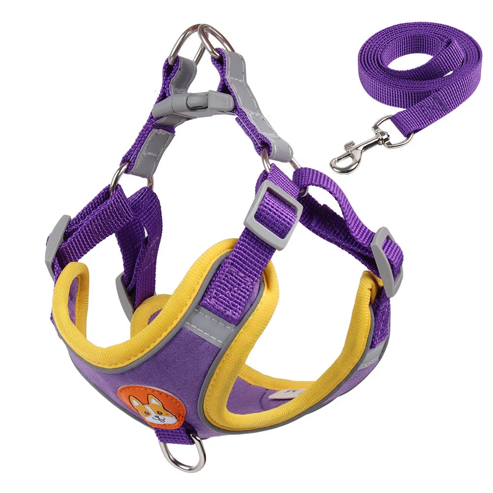 2 en 1 Harnais & Laisse Réfléchissant Anti-traction pour chien