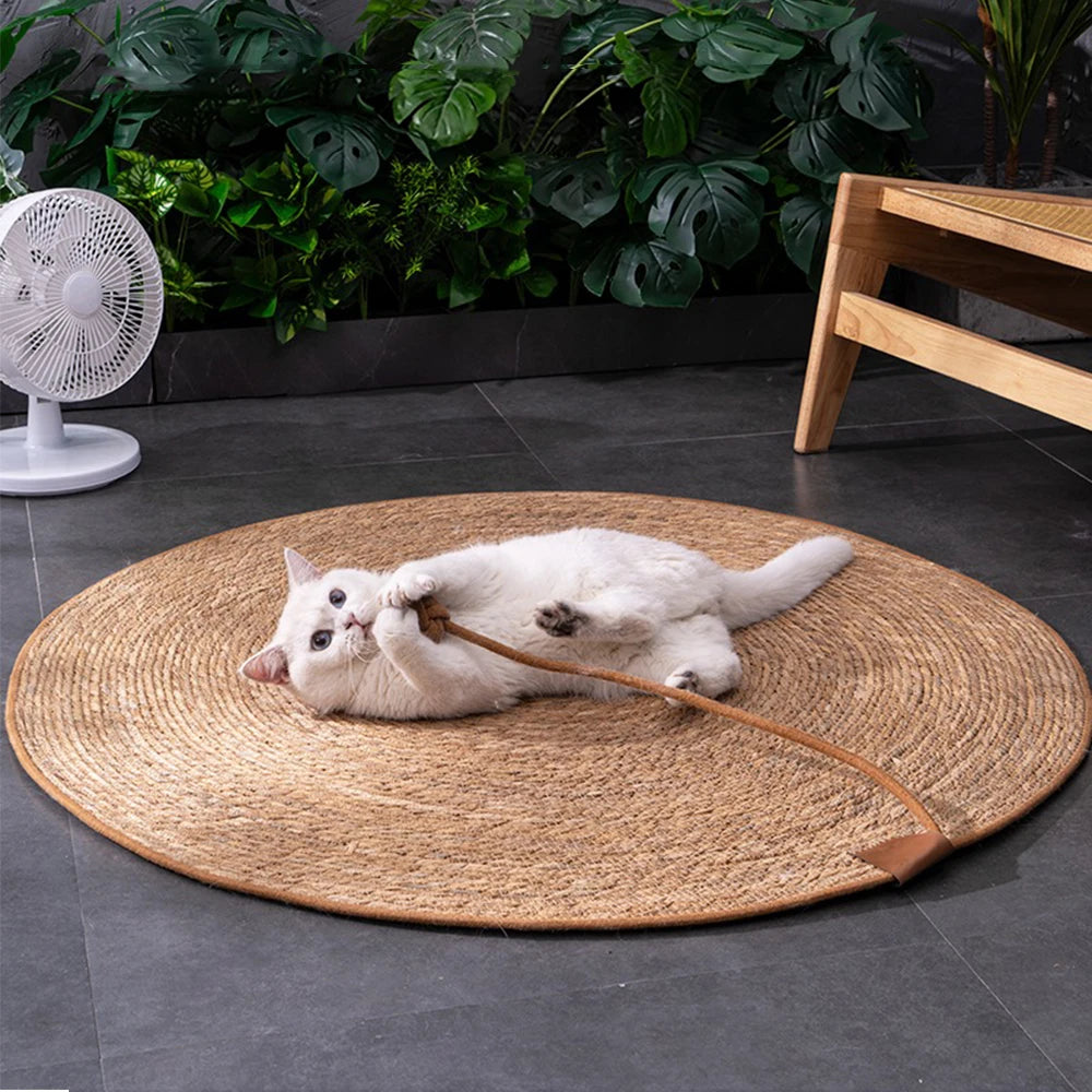 Tapis Griffoir en Rotin pour Chat – Rond et Résistant