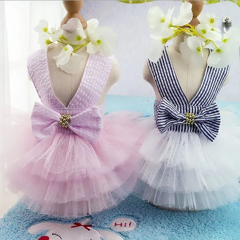 Robe Tutu Noeud Papillon pour Chiennes et Chiots Élégants