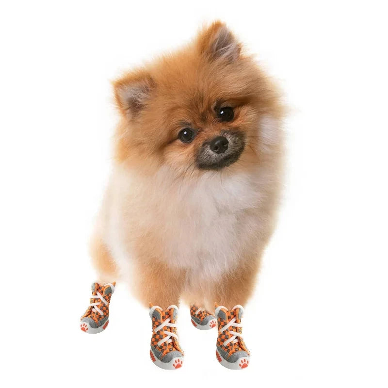 Chaussures Respirantes Été pour Chiens