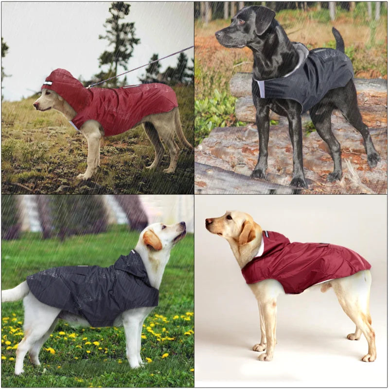 Poncho Imperméable Réfléchissant pour Chien toutes Tailles