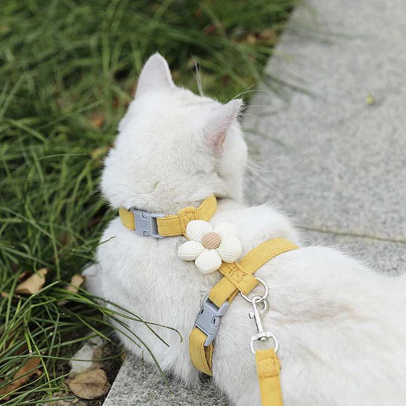 Harnais et Laisse Ajustables pour Chat avec Fleur Décorative