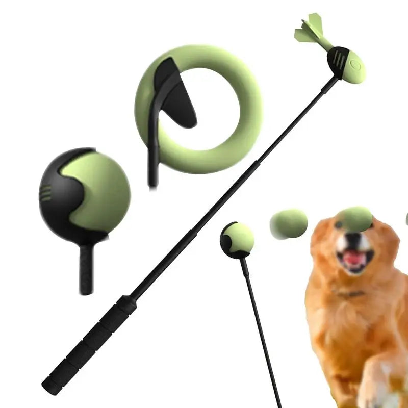Lance-Balle Télescopique Interactif pour Chiens