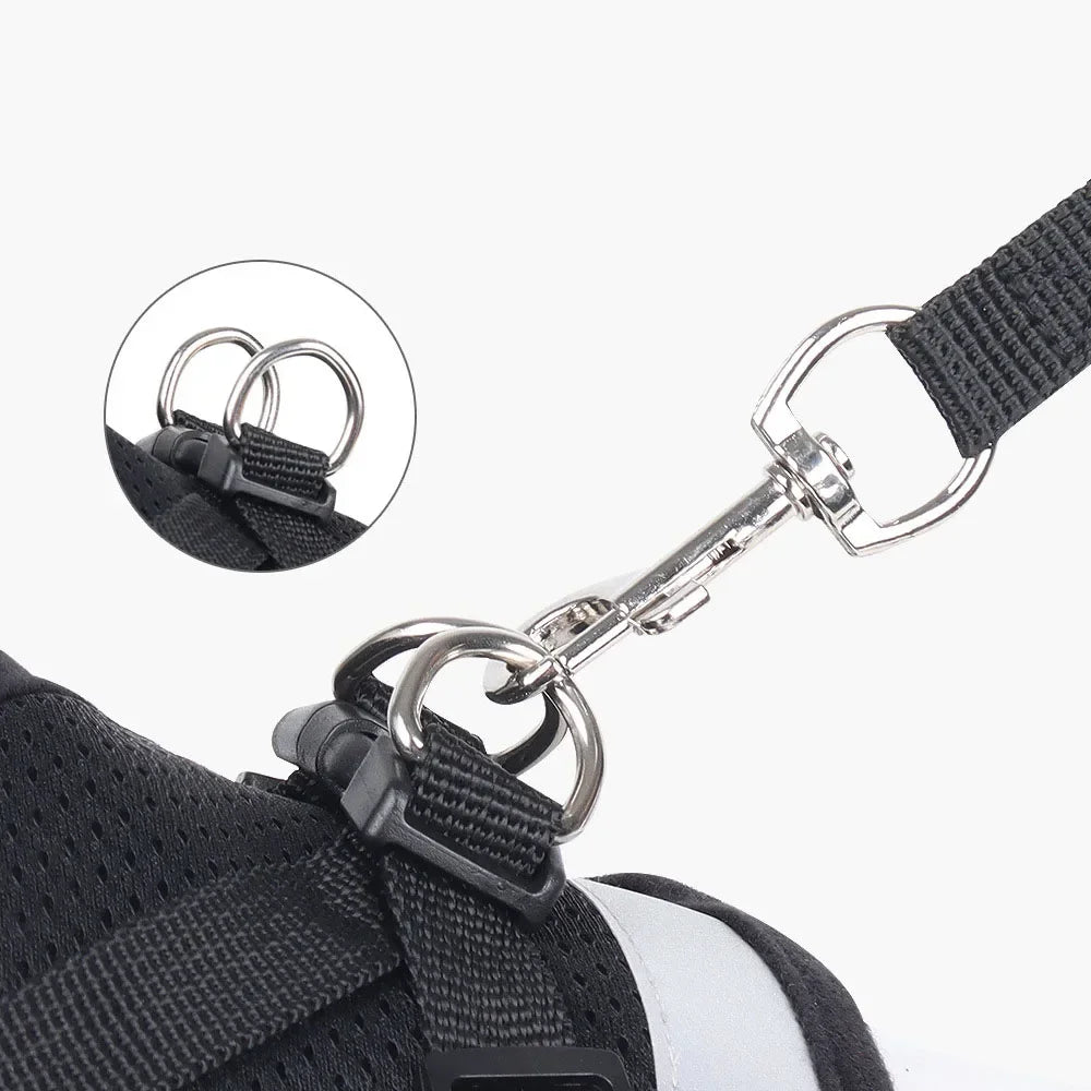Harnais Réglable en Maille Respirante avec Laisse pour Chats et Petits Chiens