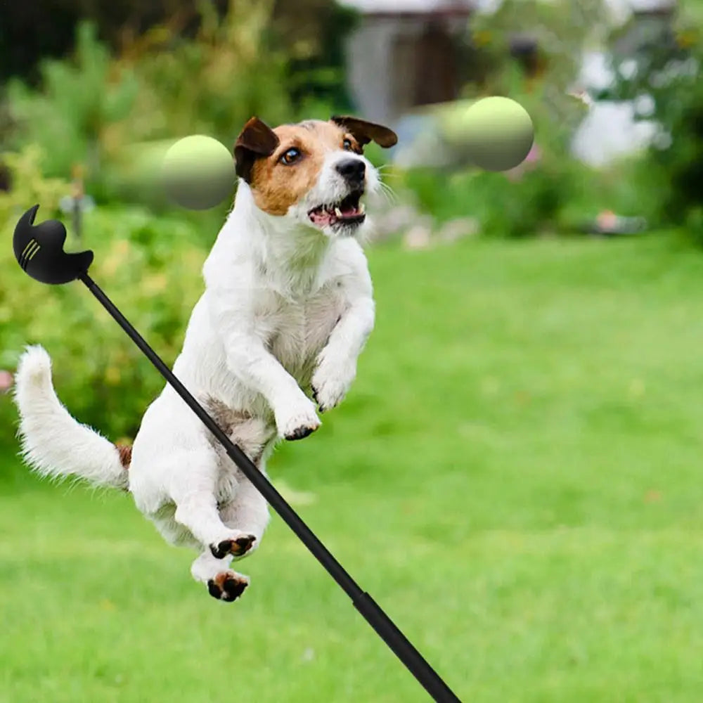 Lance-Balle Télescopique Interactif pour Chiens