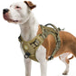 Harnais Tactique Anti-traction pour Chien