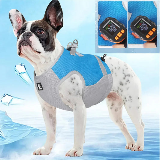 Harnais Rafraîchissant Été pour Chien