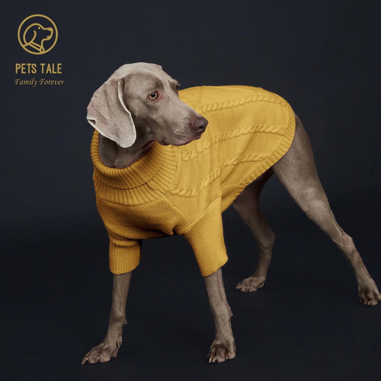 Pull Côtelé à Manches pour Chien – Tricot à Torsades et Fente Harnais