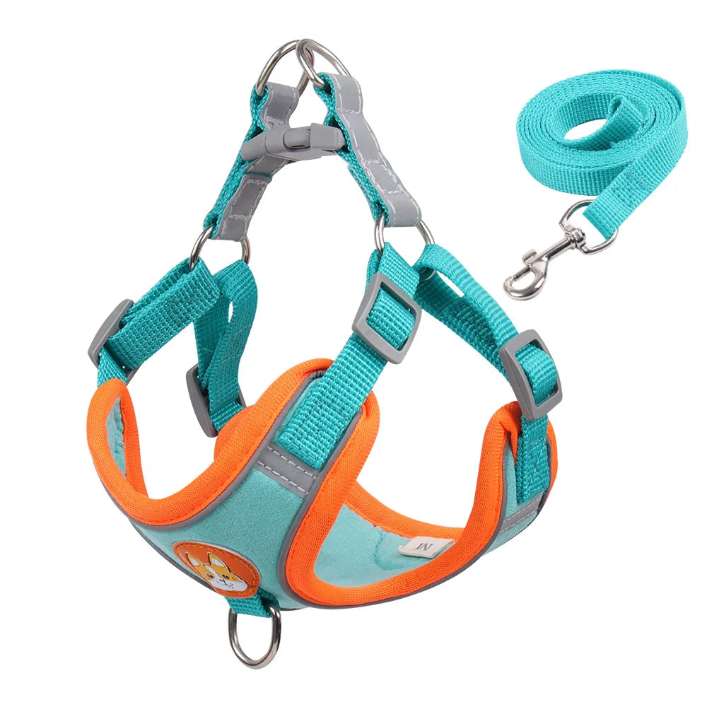 2 en 1 Harnais & Laisse Réfléchissant Anti-traction pour chien