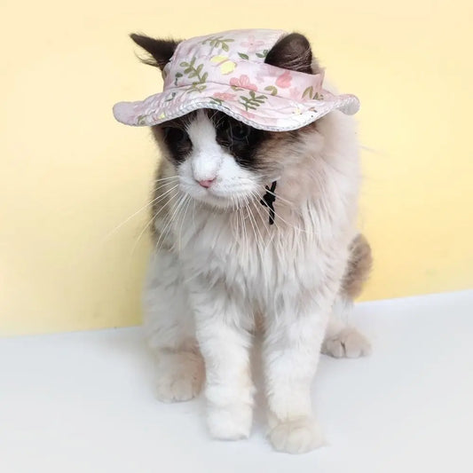 Chapeau de Soleil Réglable pour Chats et Petits Chiens