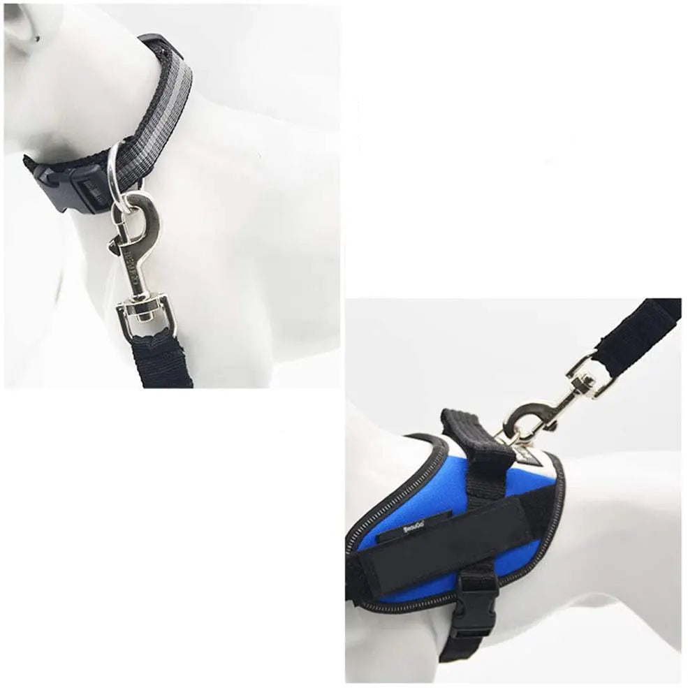 Ceinture de Sécurité Voiture pour Chien