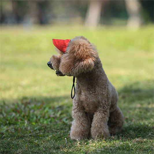 Casquette de Sport Ajustable pour Chien avec Visière et Trous pour Oreilles