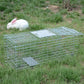Cage de capture pliable en métal galvanisé pour animaux