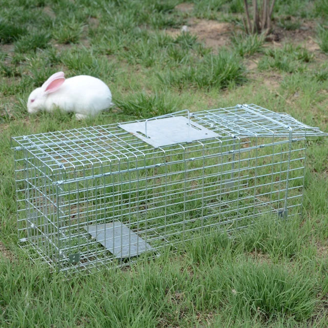 Cage de capture pliable en métal galvanisé pour animaux