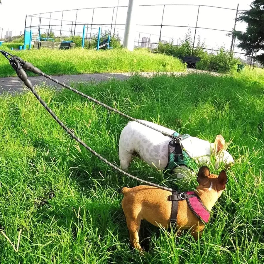 Rallonge Double Anti-Nœud pour Laisse Chien