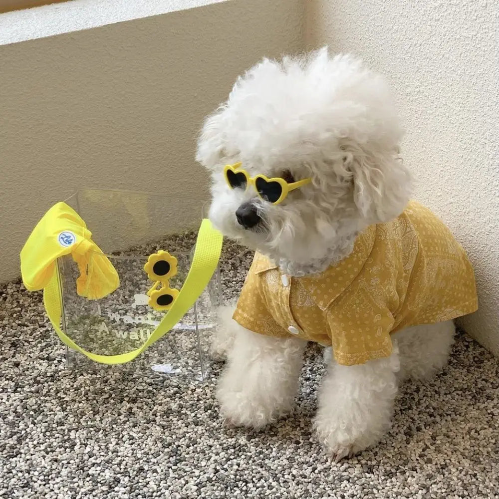 Lunettes en Forme de Cœur pour Chats et Petits Chiens
