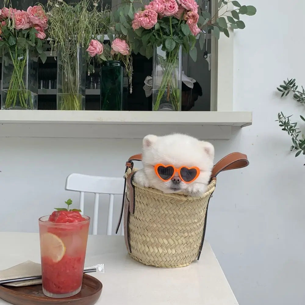 Lunettes en Forme de Cœur pour Chats et Petits Chiens