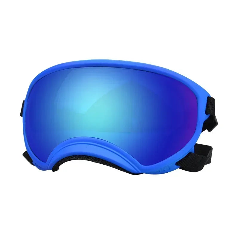 Lunettes de Ski Panoramiques pour Chiens Moyens et Grands