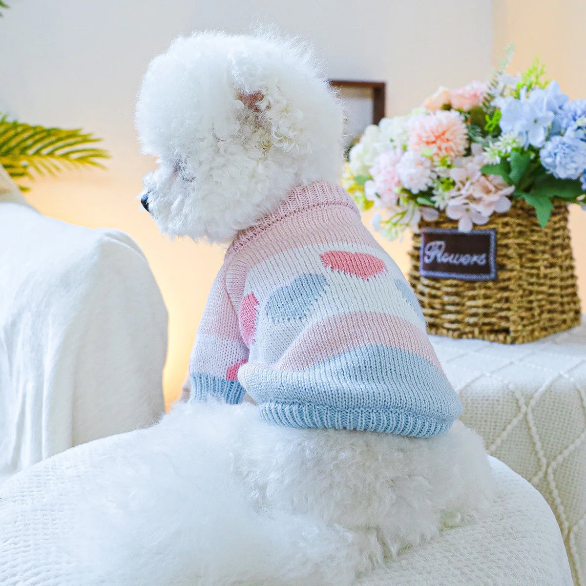 Pull Jacquard Rose et Bleu à Cœurs pour Petit Chien