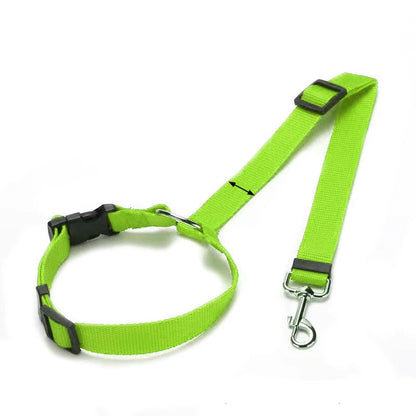 Ceinture de Sécurité & Laisse Voiture pour Chien