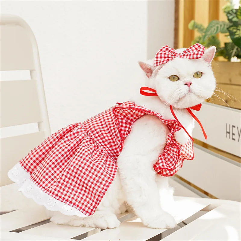 Robe à Motif avec Nœud pour Chien et Chat Élégants