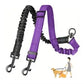 Rallonge Double Réglable & Élastique ColorDuo pour Laisse Chien