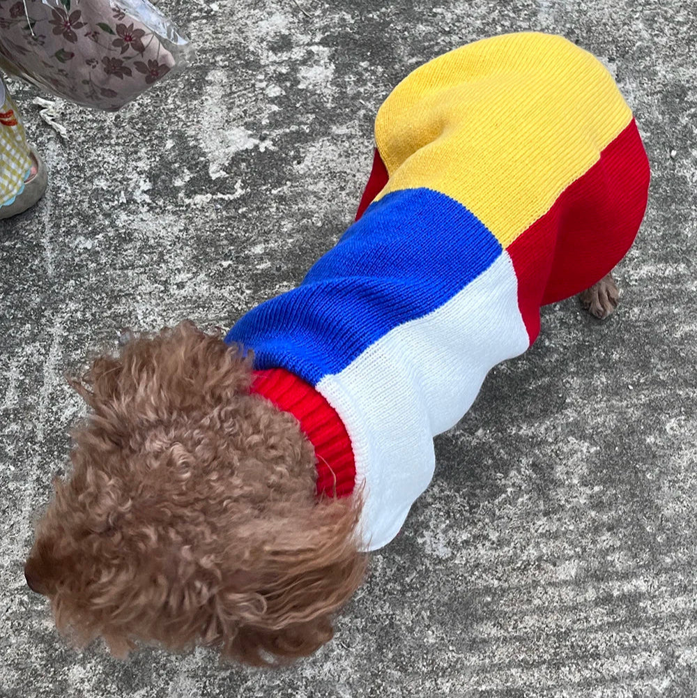 Pull Coloré à Carreaux pour Chien ou Chat